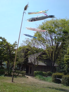 100503_1304~01.jpg