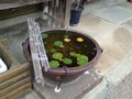 美馬市脇町うだつ005