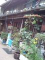 美馬市脇町うだつ008