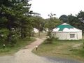 直島035