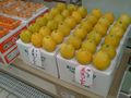 道後温泉 清水商店 美生柑（美生ゴールド）