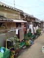引田 路地