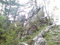 剣山 巨岩と倒木
