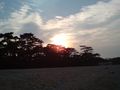 津田 松原 夕日