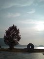 庵治町 城岬公園