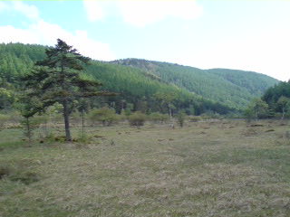 大阿原湿原