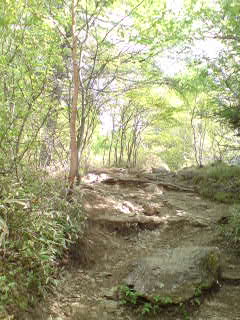 入笠山 登山ルート