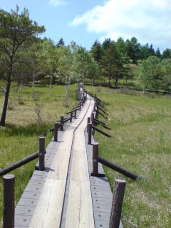 入笠湿原