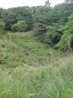090603_1507~01.jpg