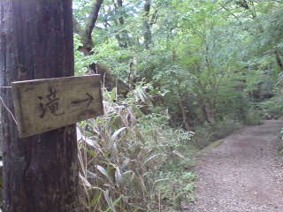 090603_1324~01_0001.jpg