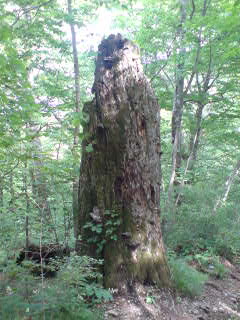 090602_1505~01.jpg