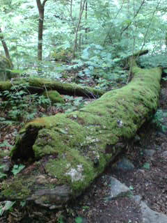 090602_1537~01.jpg