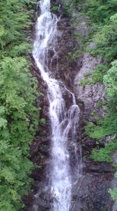 090602_1607~01.jpg