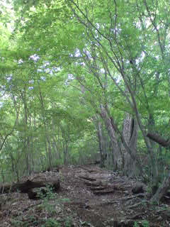 090602_1325~01.jpg