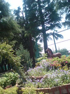 090520_1208~01.jpg