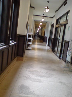 090519_1145~01.jpg