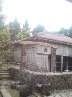 070412_1702~01.jpg
